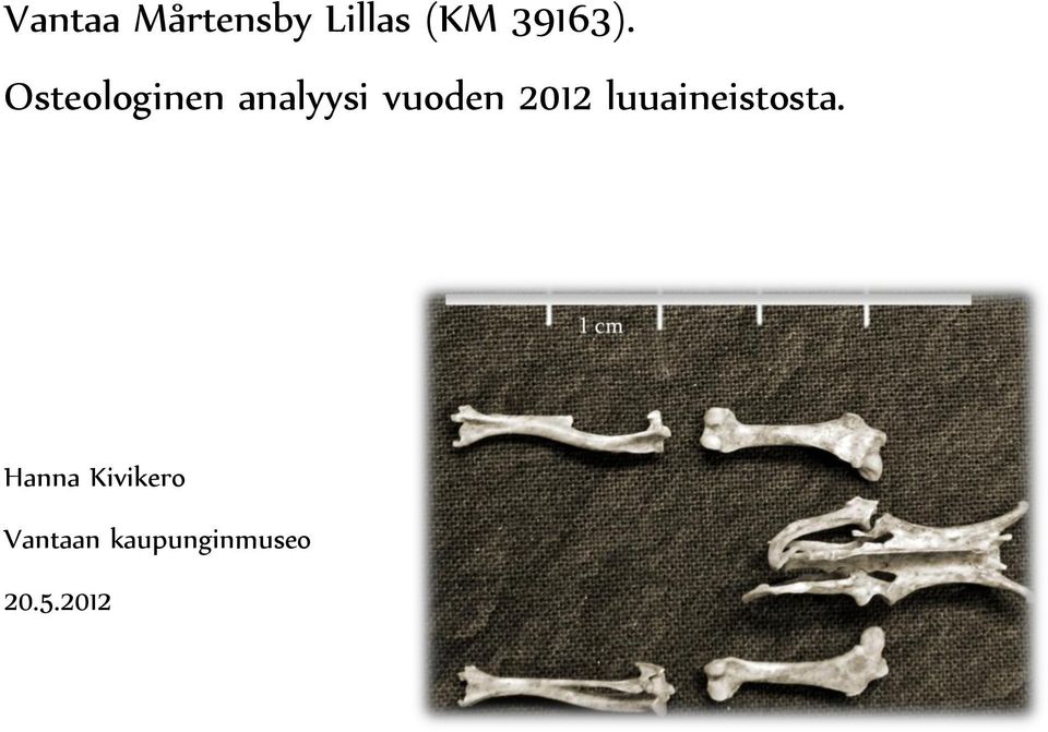 Osteologinen analyysi vuoden 202