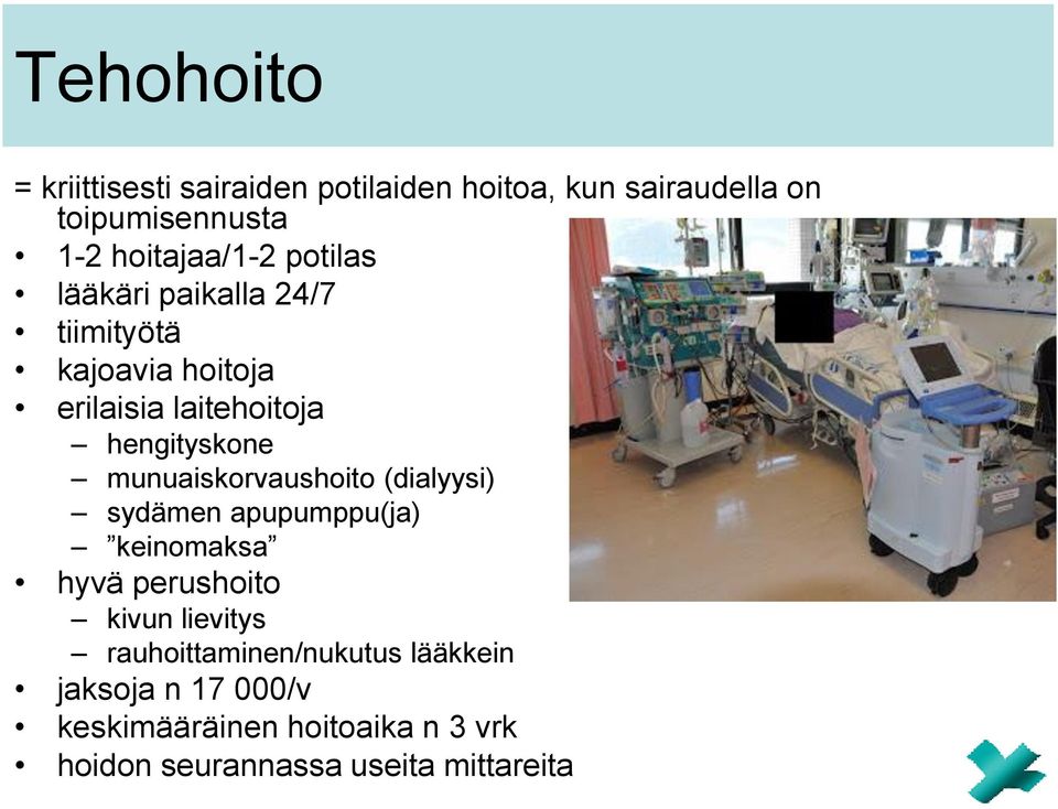 hengityskone munuaiskorvaushoito (dialyysi) sydämen apupumppu(ja) keinomaksa hyvä perushoito kivun