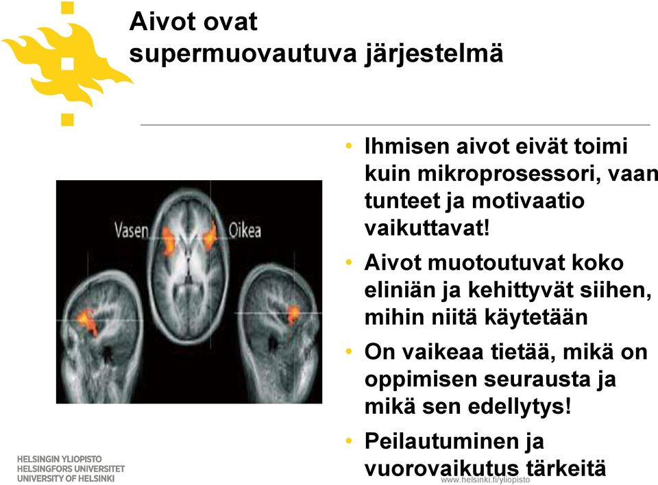 Aivot muotoutuvat koko eliniän ja kehittyvät siihen, mihin niitä käytetään On