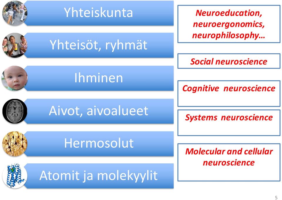neuroergonomics, neurophilosophy Social neuroscience