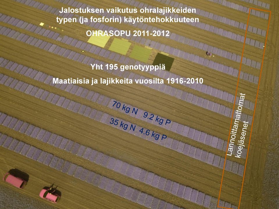 2011-2012 Yht 195 genotyyppiä Maatiaisia
