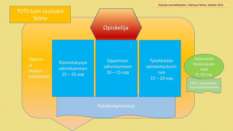 25 osp Oppimisen vahvistaminen 10 15 osp