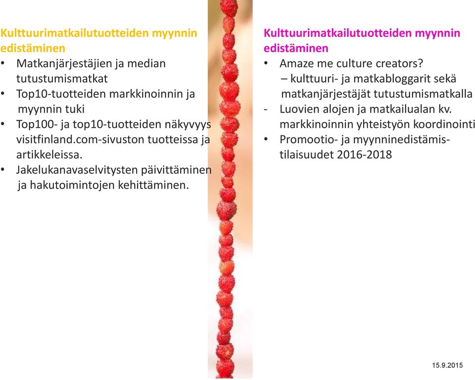 Jakelukanavaselvitysten päivittäminen ja hakutoimintojen kehittäminen. Kulttuurimatkailutuotteiden myynnin edistäminen Amaze me culture creators?