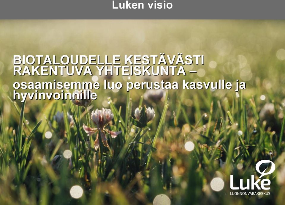 YHTEISKUNTA osaamisemme luo