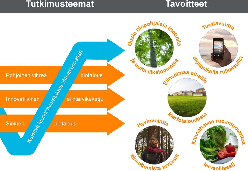 biotalous Innovatiivinen