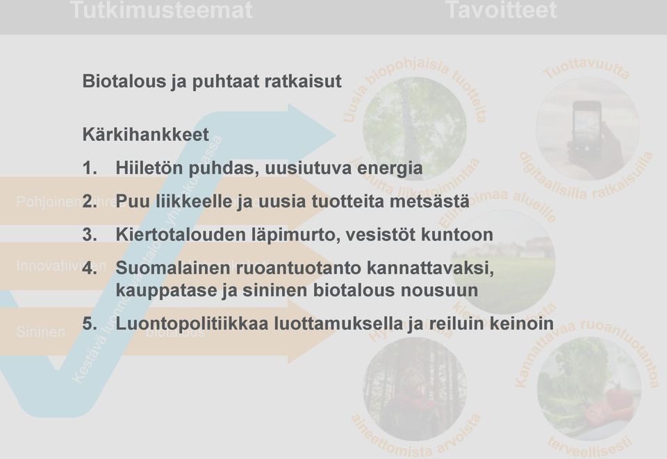 Suomalainen elintarvikeketju ruoantuotanto kannattavaksi, Sininen Kärkihankkeet 1.