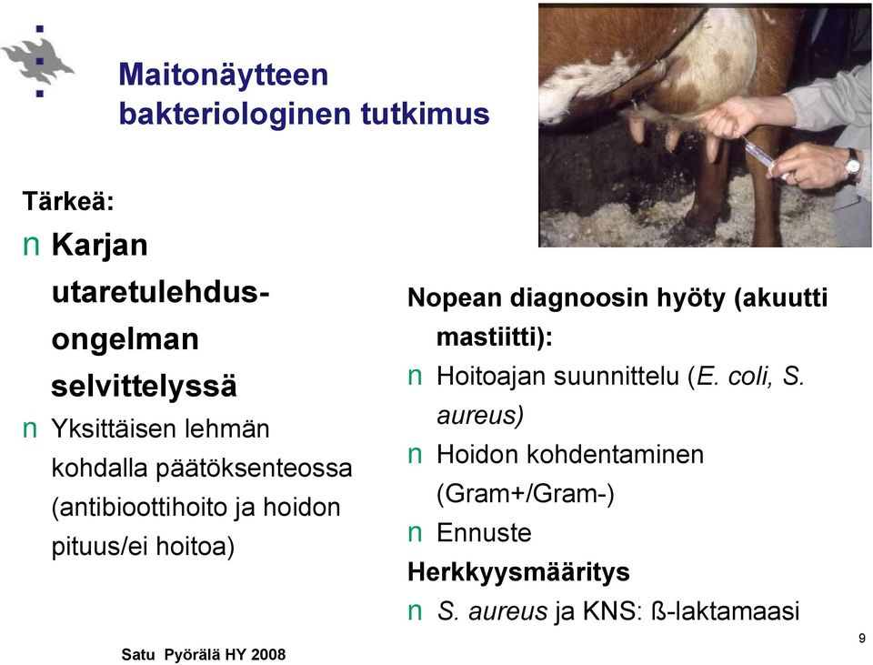 Nopean diagnoosin hyöty (akuutti mastiitti): Hoitoajan suunnittelu (E. coli, S.