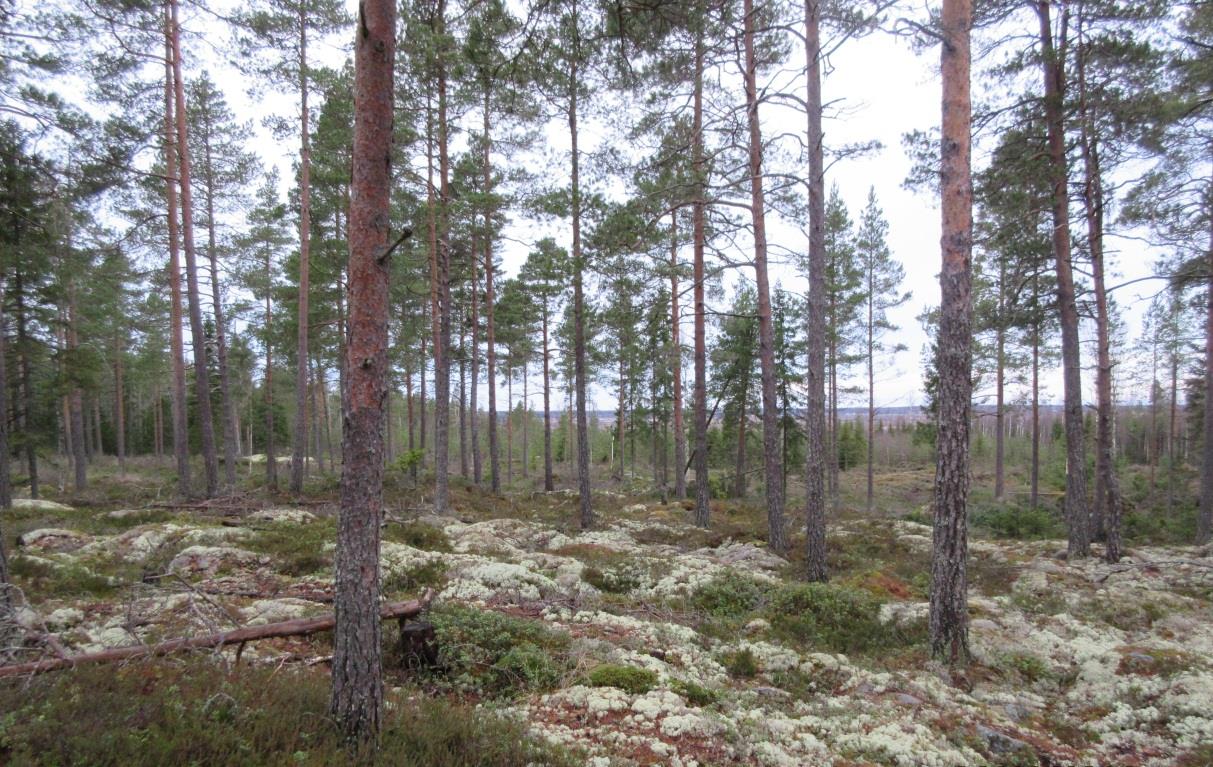 Vastaanottaja Maalahden kunta Asiakirja Osallistumis- ja arviointisuunnitelma Päivämäärä 28.