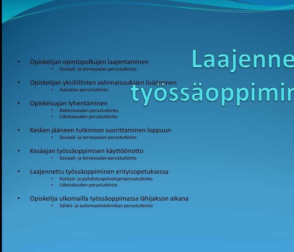 perustutkinto Kesäajan työssäoppimisen käyttöönotto Sosiaali- ja terveysalan perustutkinto Laajennettu työssäoppiminen erityisopetuksessa Kotityö- ja