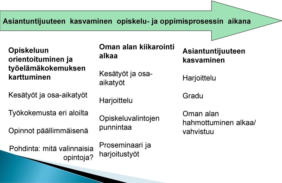 Pohdinta: mitä valinnaisia opintoja?