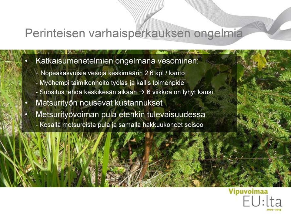 toimenpide - Suositus tehdä keskikesän aikaan 6 viikkoa on lyhyt kausi Metsurityön nousevat