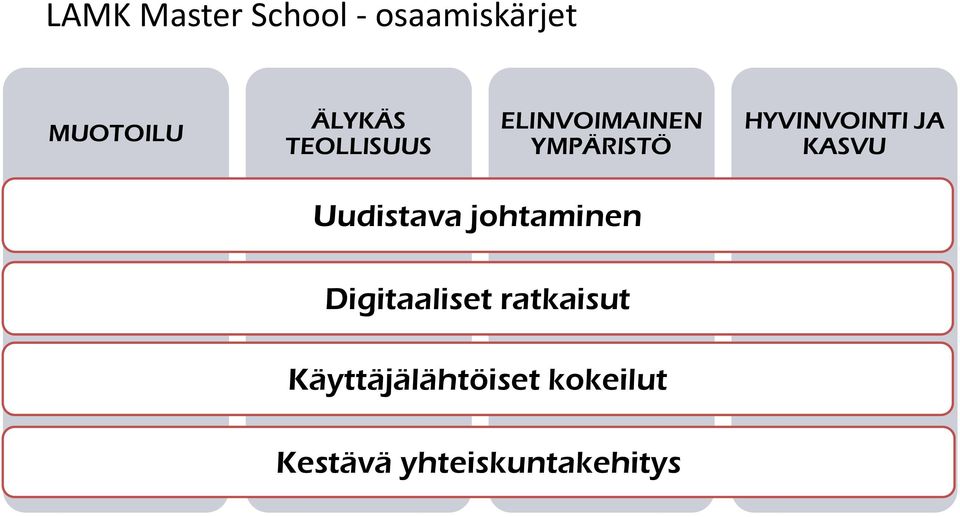 KASVU Uudistava johtaminen Digitaaliset ratkaisut