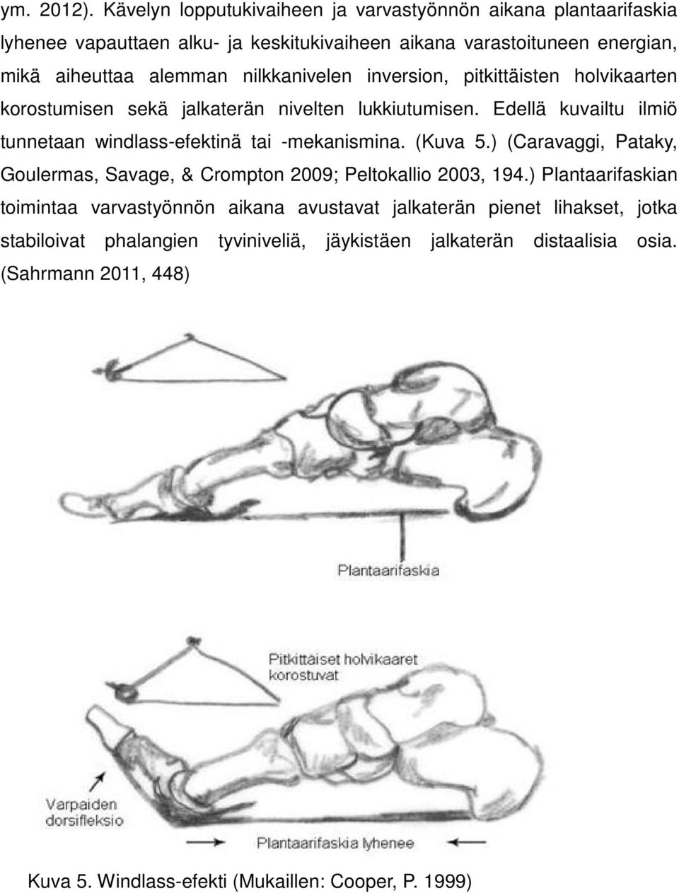 nilkkanivelen inversion, pitkittäisten holvikaarten korostumisen sekä jalkaterän nivelten lukkiutumisen.