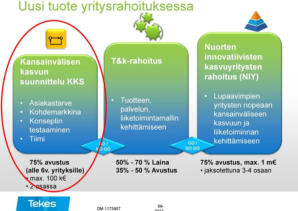 kehittämiseen GO / NO GO Lupaavimpien yritysten nopeaan kansainväliseen kasvuun ja liiketoiminnan kehittämiseen 75% avustus