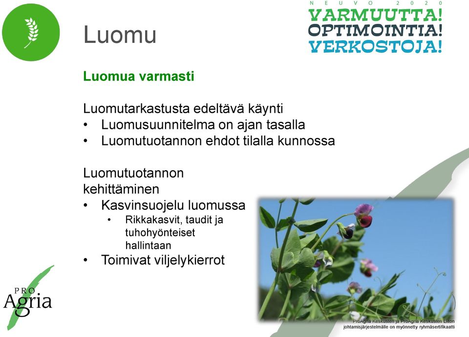 kunnossa Luomutuotannon kehittäminen Kasvinsuojelu luomussa