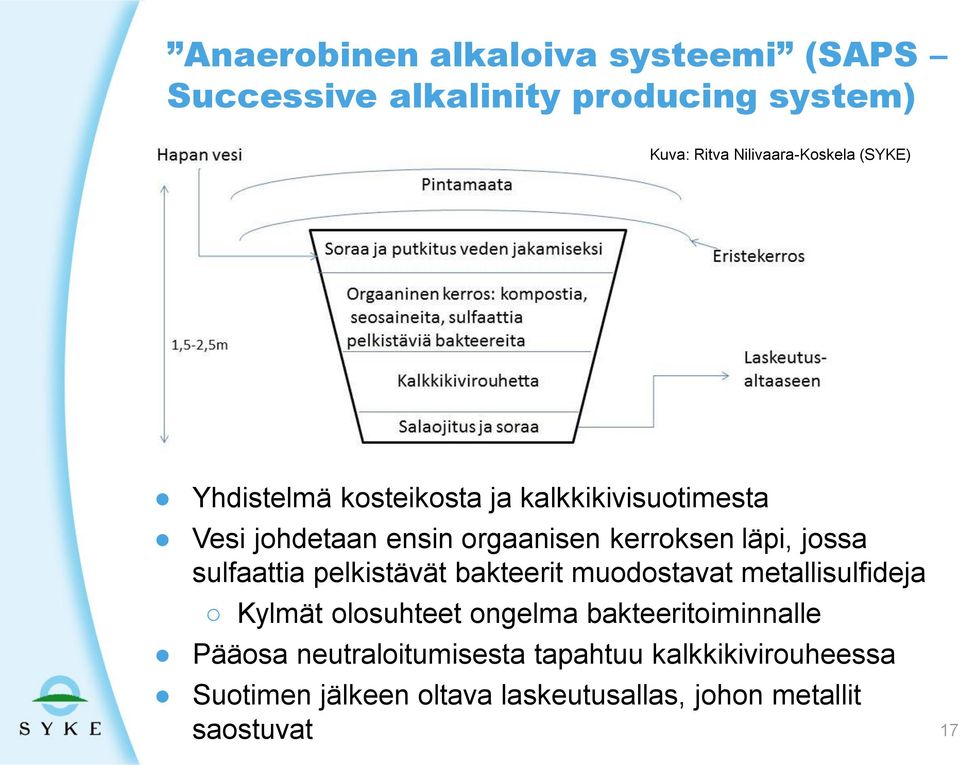 sulfaattia pelkistävät bakteerit muodostavat metallisulfideja Kylmät olosuhteet ongelma bakteeritoiminnalle