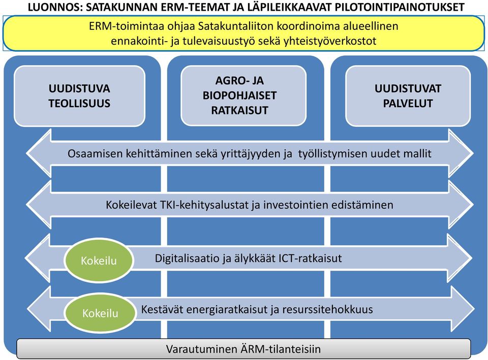 Osaamisen kehittäminen sekä yrittäjyyden ja työllistymisen uudet mallit Kokeilevat TKI-kehitysalustat ja investointien edistäminen