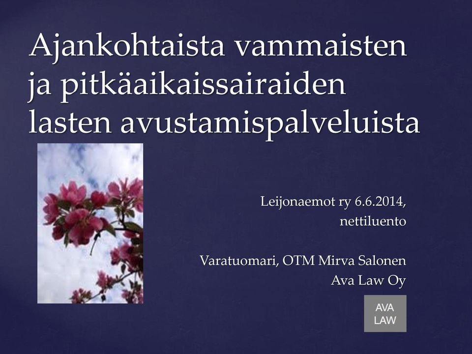 avustamispalveluista Leijonaemot ry 6.