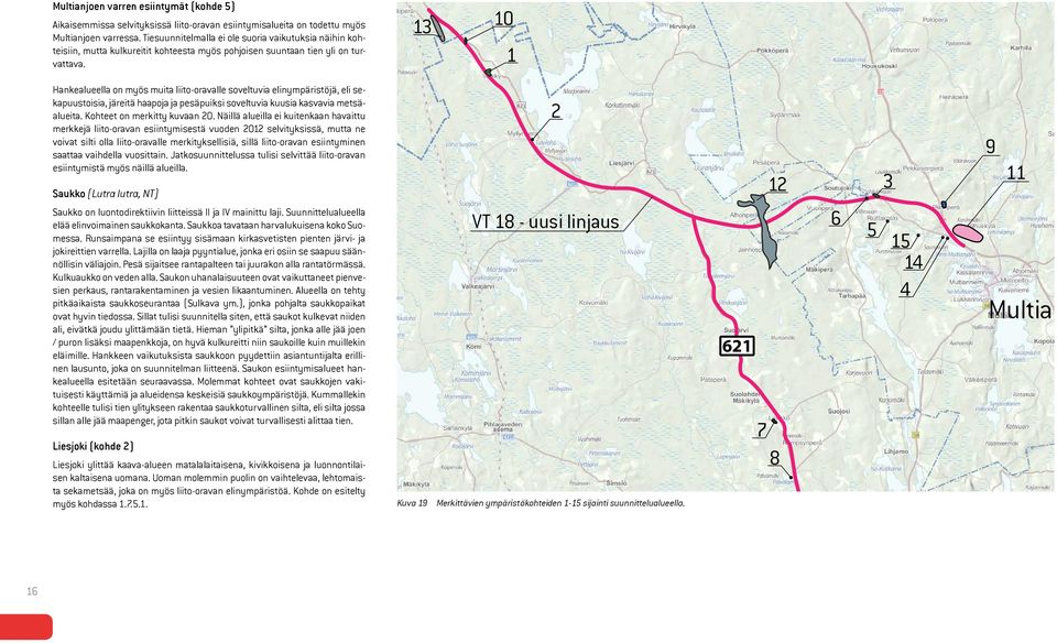 13 10 1 Hankealueella on myös muita liito-oravalle soveltuvia elinympäristöjä, eli sekapuustoisia, järeitä haapoja ja pesäpuiksi soveltuvia kuusia kasvavia metsäalueita. Kohteet on merkitty kuvaan 20.