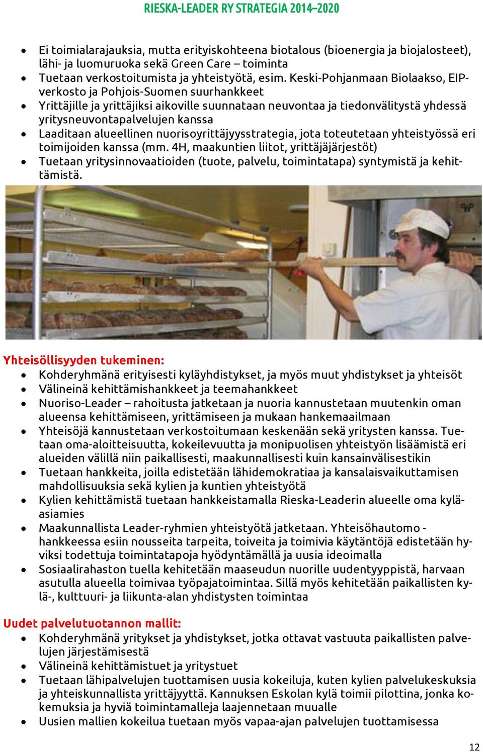 alueellinen nuorisoyrittäjyysstrategia, jota toteutetaan yhteistyössä eri toimijoiden kanssa (mm.