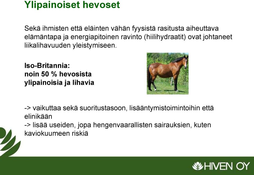 Iso-Britannia: noin 50 % hevosista ylipainoisia ja lihavia -> vaikuttaa sekä suoritustasoon,