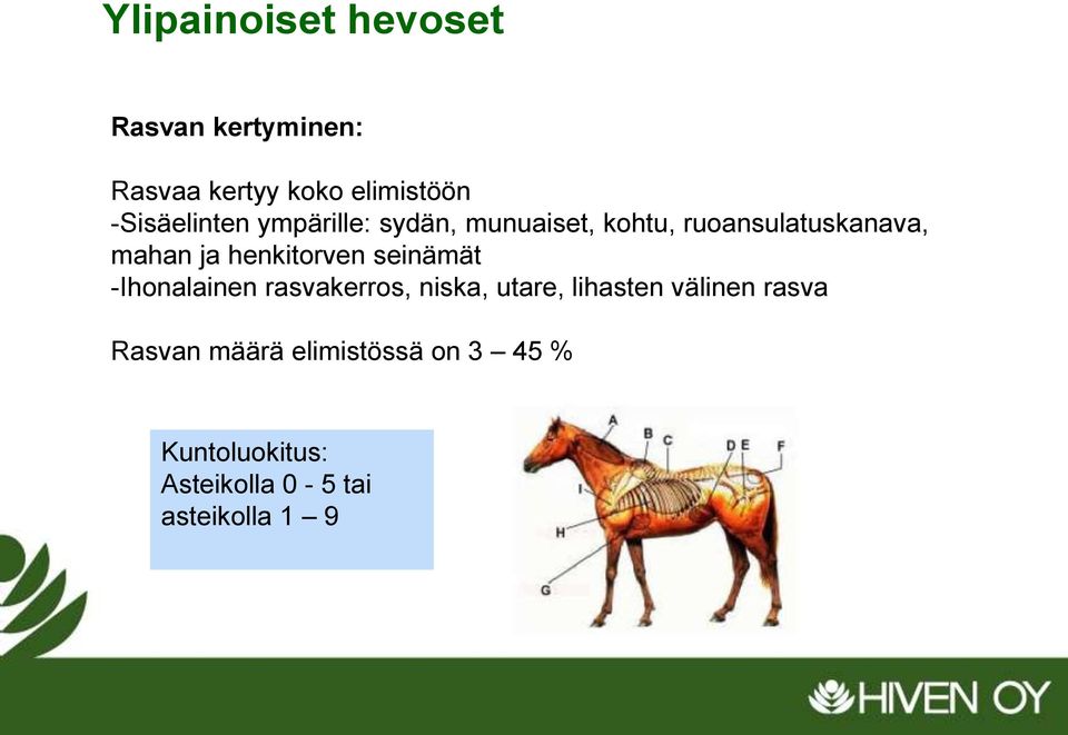 seinämät -Ihonalainen rasvakerros, niska, utare, lihasten välinen rasva