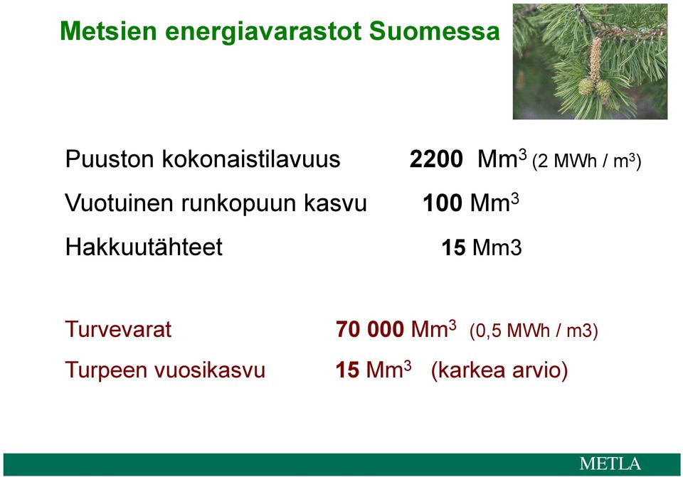 runkopuun kasvu 100 Mm 3 Hakkuutähteet 15 Mm3