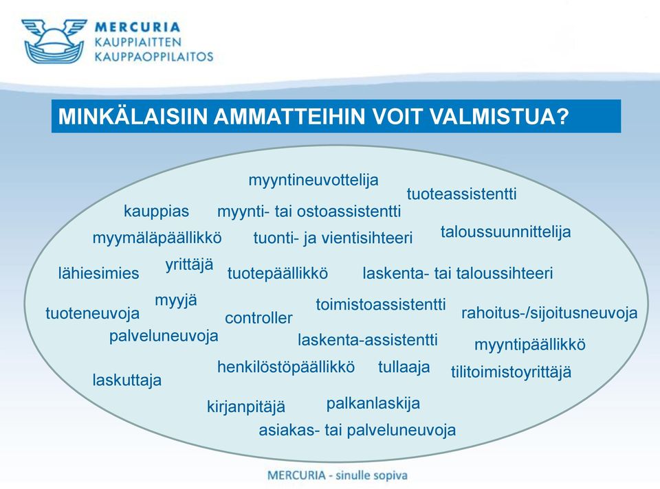 taloussuunnittelija yrittäjä lähiesimies tuotepäällikkö laskenta- tai taloussihteeri myyjä toimistoassistentti