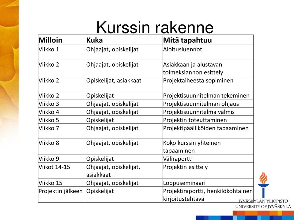 Viikko 5 Opiskelijat Projektin toteuttaminen Viikko 7 Ohjaajat, opiskelijat Projektipäälliköiden tapaaminen Viikko 8 Ohjaajat, opiskelijat Koko kurssin yhteinen tapaaminen Viikko 9 Opiskelijat