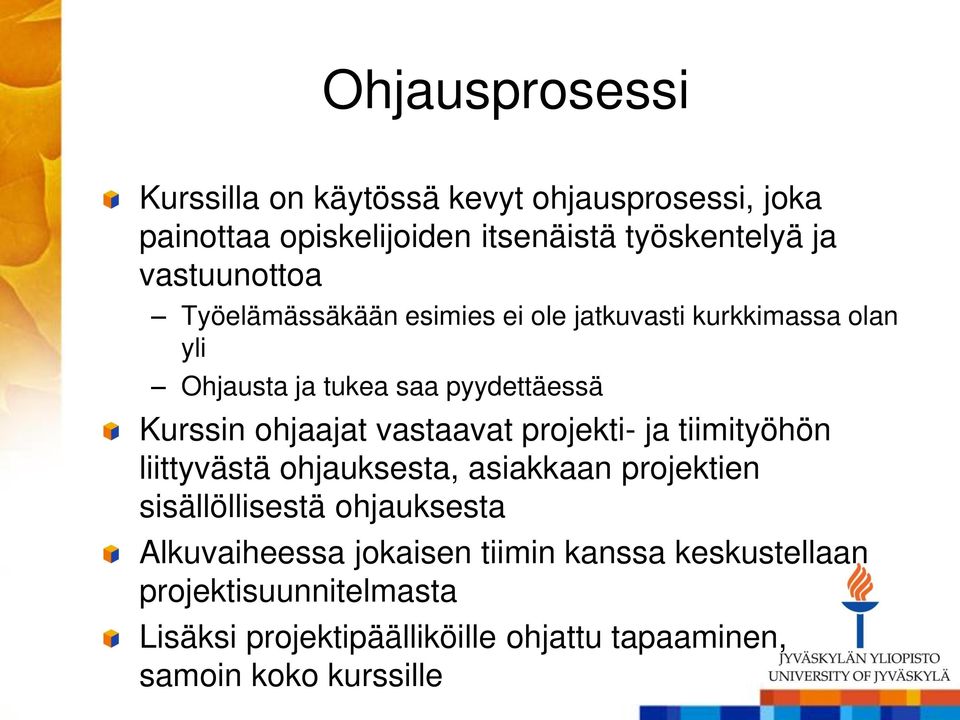 ohjaajat vastaavat projekti- ja tiimityöhön liittyvästä ohjauksesta, asiakkaan projektien sisällöllisestä ohjauksesta
