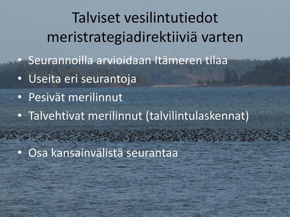 eri seurantoja Pesivät merilinnut Talvehtivat