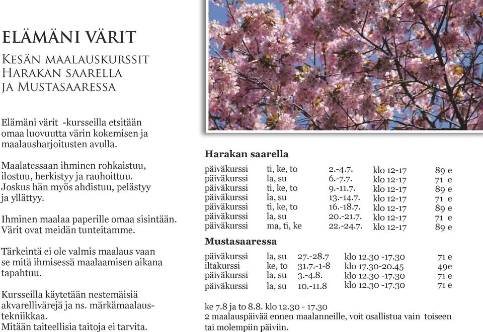 Tärkeintä ei ole valmis maalaus vaan se mitä ihmisessä maalaamisen aikana tapahtuu. Kursseilla käytetään nestemäisiä akvarellivärejä ja ns. märkämaalaustekniikkaa.