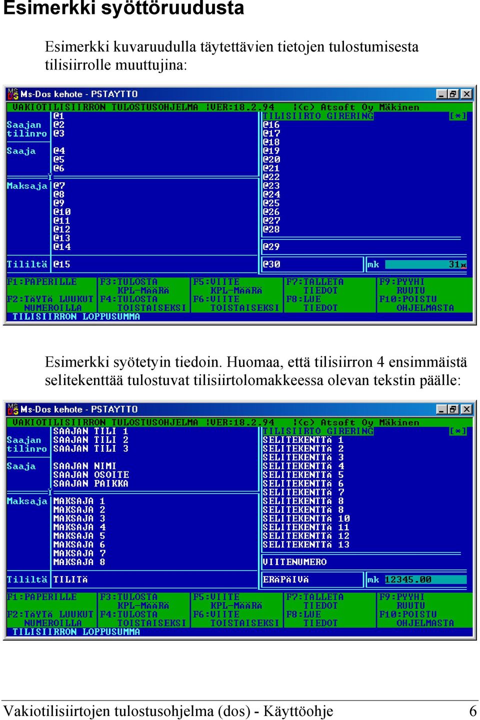 Huomaa, että tilisiirron 4 ensimmäistä selitekenttää tulostuvat