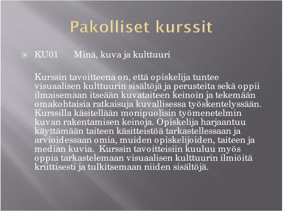 Kurssilla käsitellään monipuolisin työmenetelmin kuvan rakentamisen keinoja.