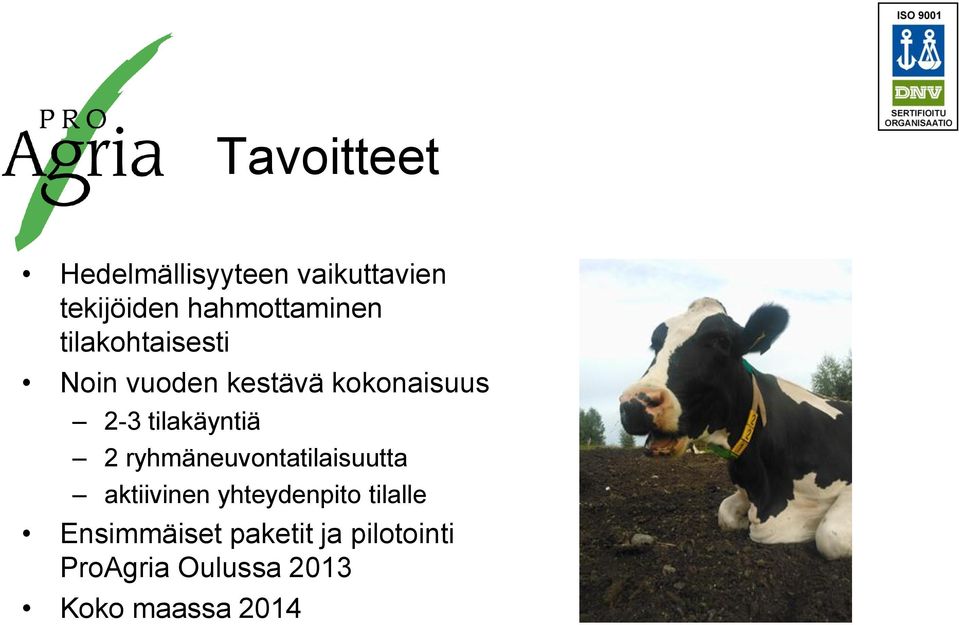 tilakäyntiä 2 ryhmäneuvontatilaisuutta aktiivinen yhteydenpito