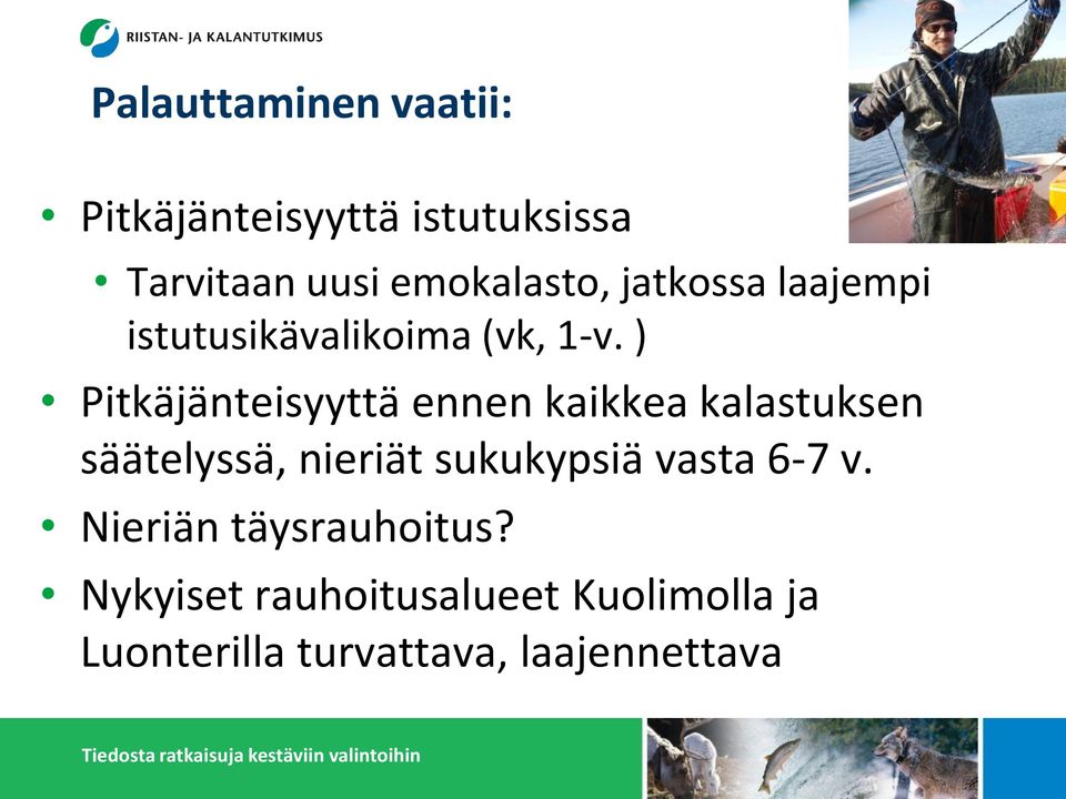 ) Pitkäjänteisyyttä ennen kaikkea kalastuksen säätelyssä, nieriät sukukypsiä