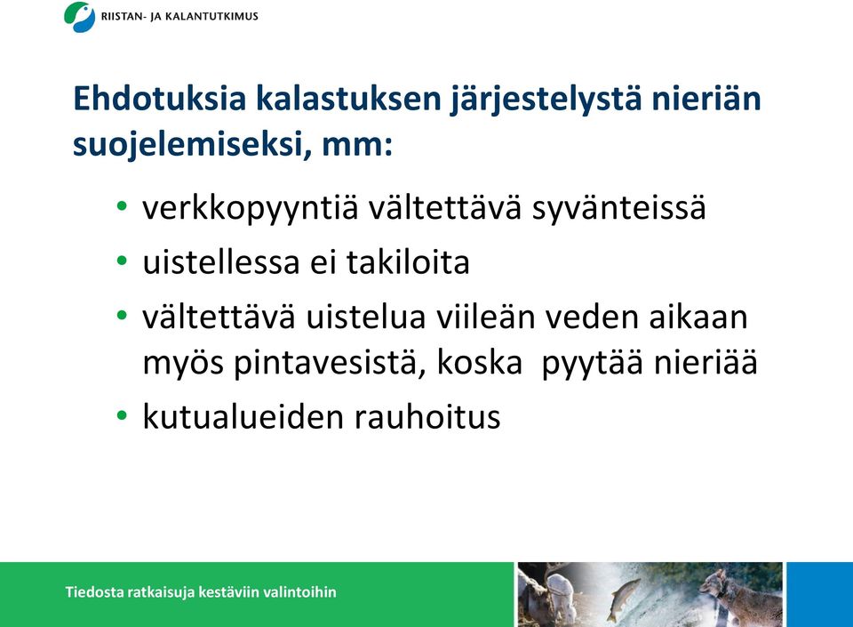 uistellessa ei takiloita vältettävä uistelua viileän