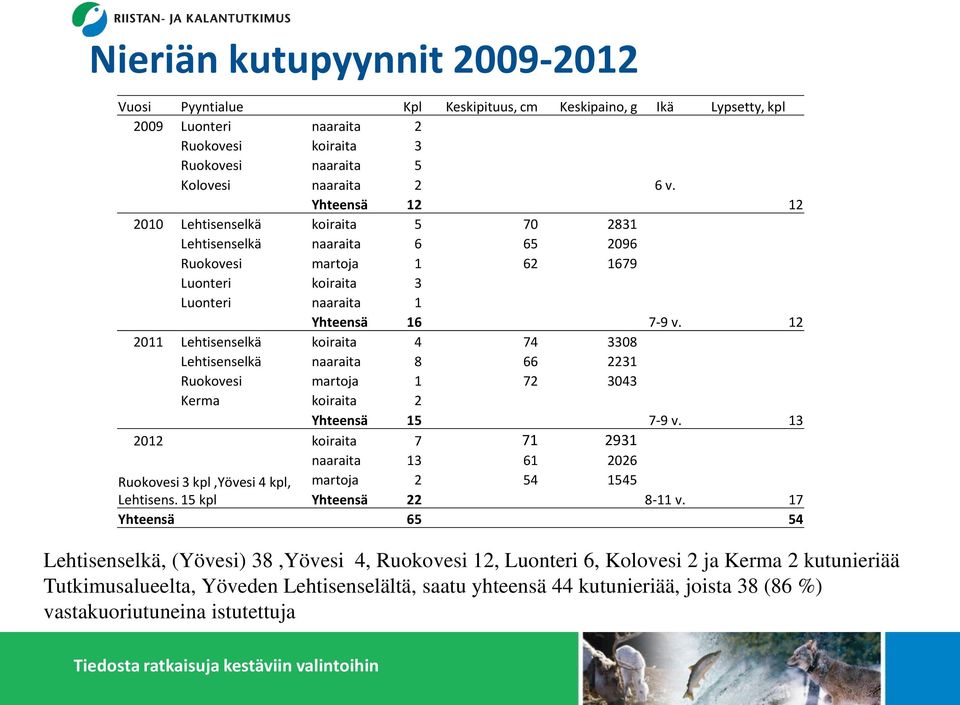 12 2011 Lehtisenselkä koiraita 4 74 3308 Lehtisenselkä naaraita 8 66 2231 Ruokovesi martoja 1 72 3043 Kerma koiraita 2 Yhteensä 15 7-9 v.