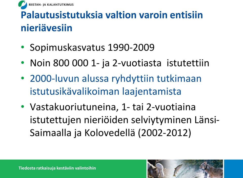 ryhdyttiin tutkimaan istutusikävalikoiman laajentamista Vastakuoriutuneina, 1-