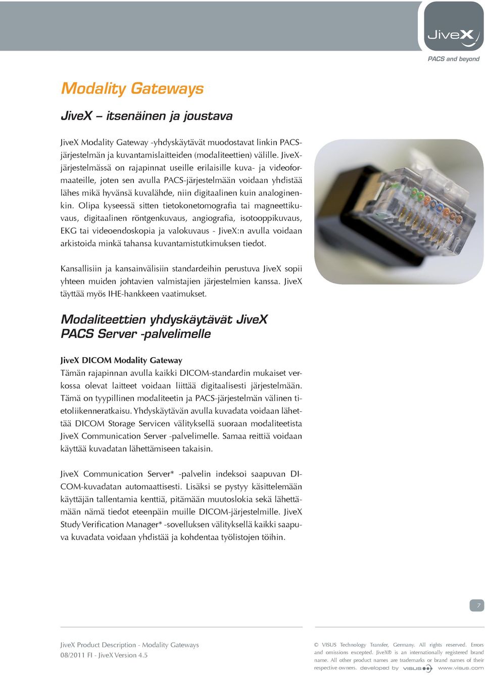analoginenkin.