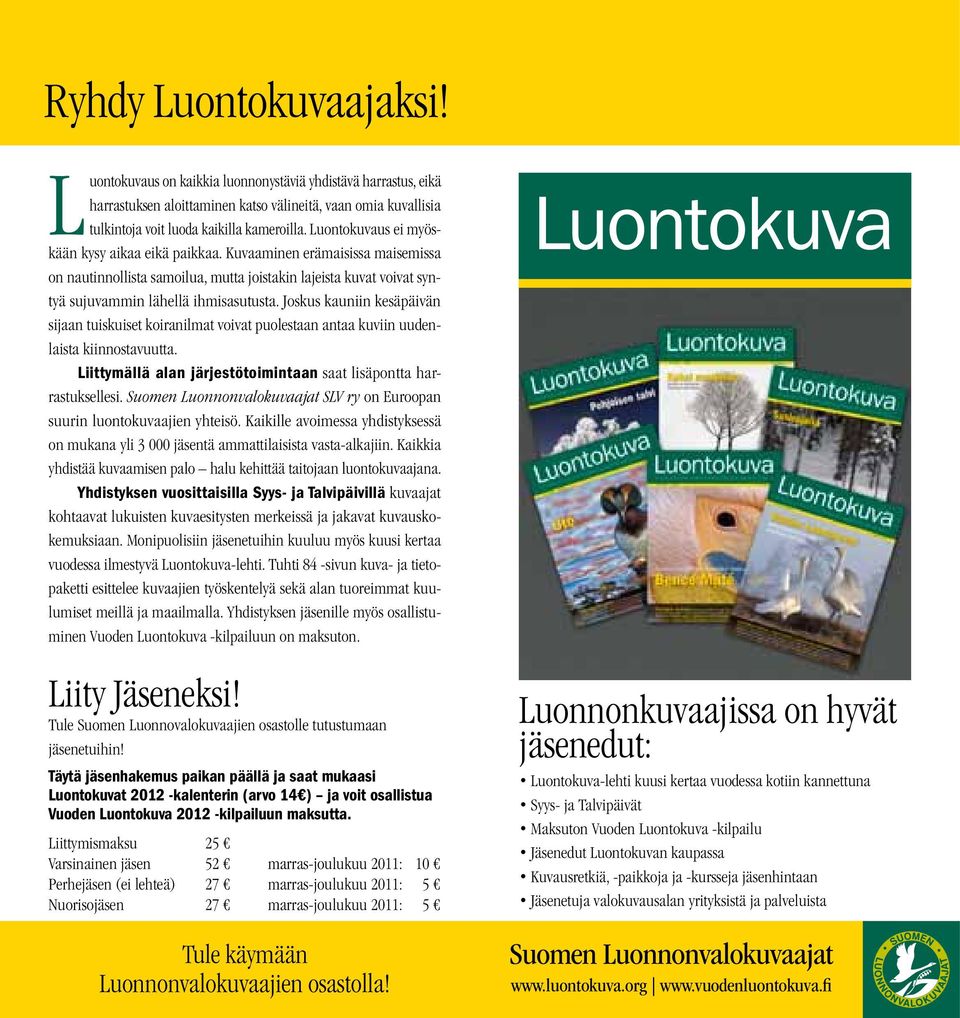 Joskus kauniin kesäpäivän sijaan tuiskuiset koiranilmat voivat puolestaan antaa kuviin uudenlaista kiinnostavuutta. Liittymällä alan järjestötoimintaan saat lisäpontta harrastuksellesi.