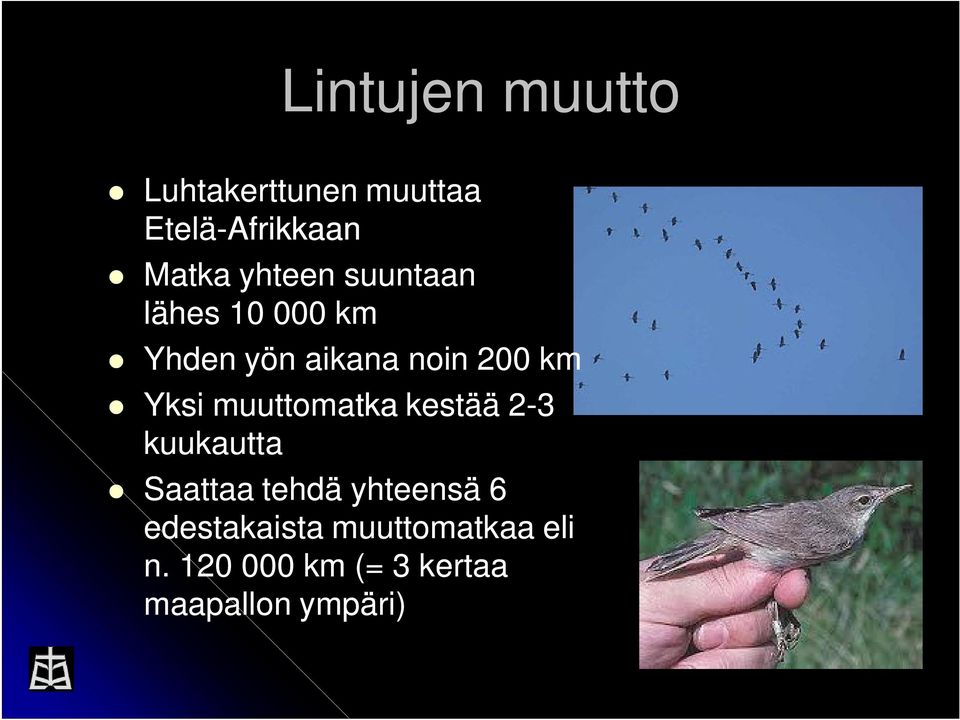 Yksi muuttomatka kestää 2-3 kuukautta Saattaa tehdä yhteensä 6