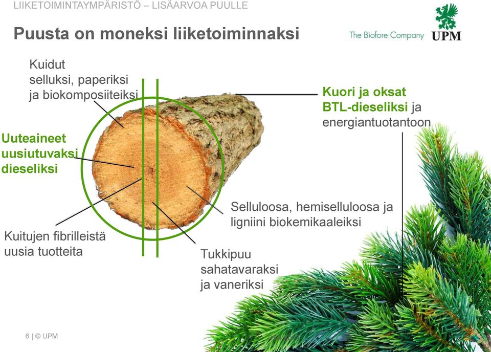 BTL-dieseliksi ja energiantuotantoon Kuitujen fibrilleistä uusia tuotteita Selluloosa,