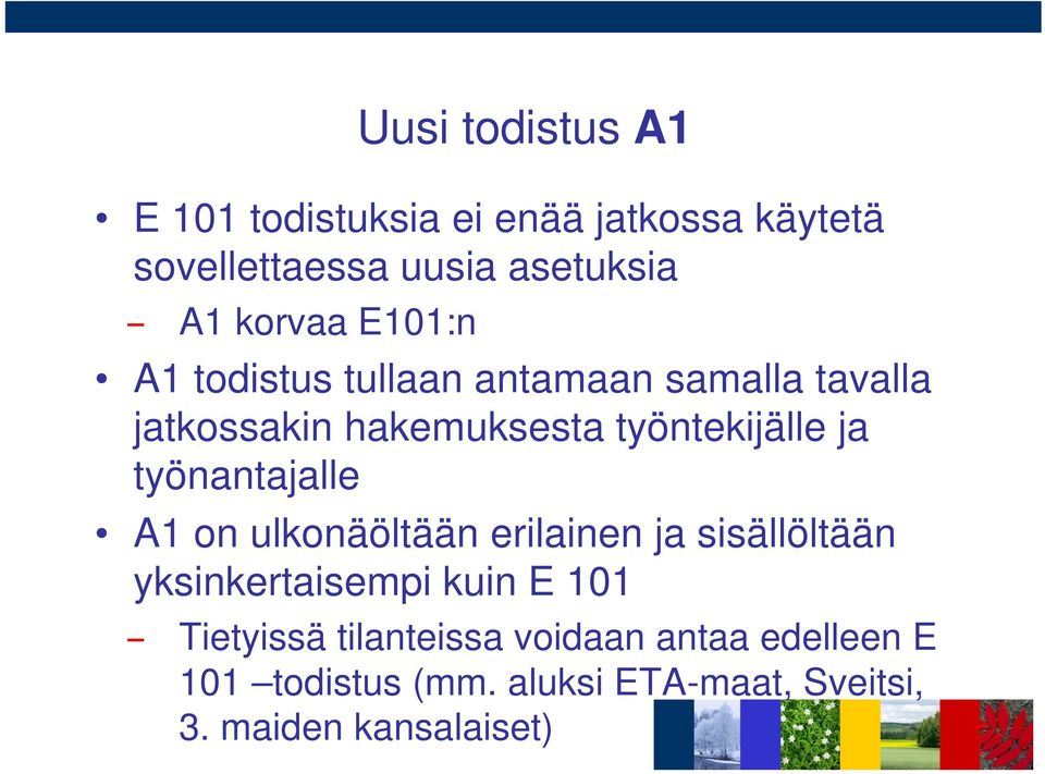 ja työnantajalle A1 on ulkonäöltään erilainen ja sisällöltään yksinkertaisempi kuin E 101