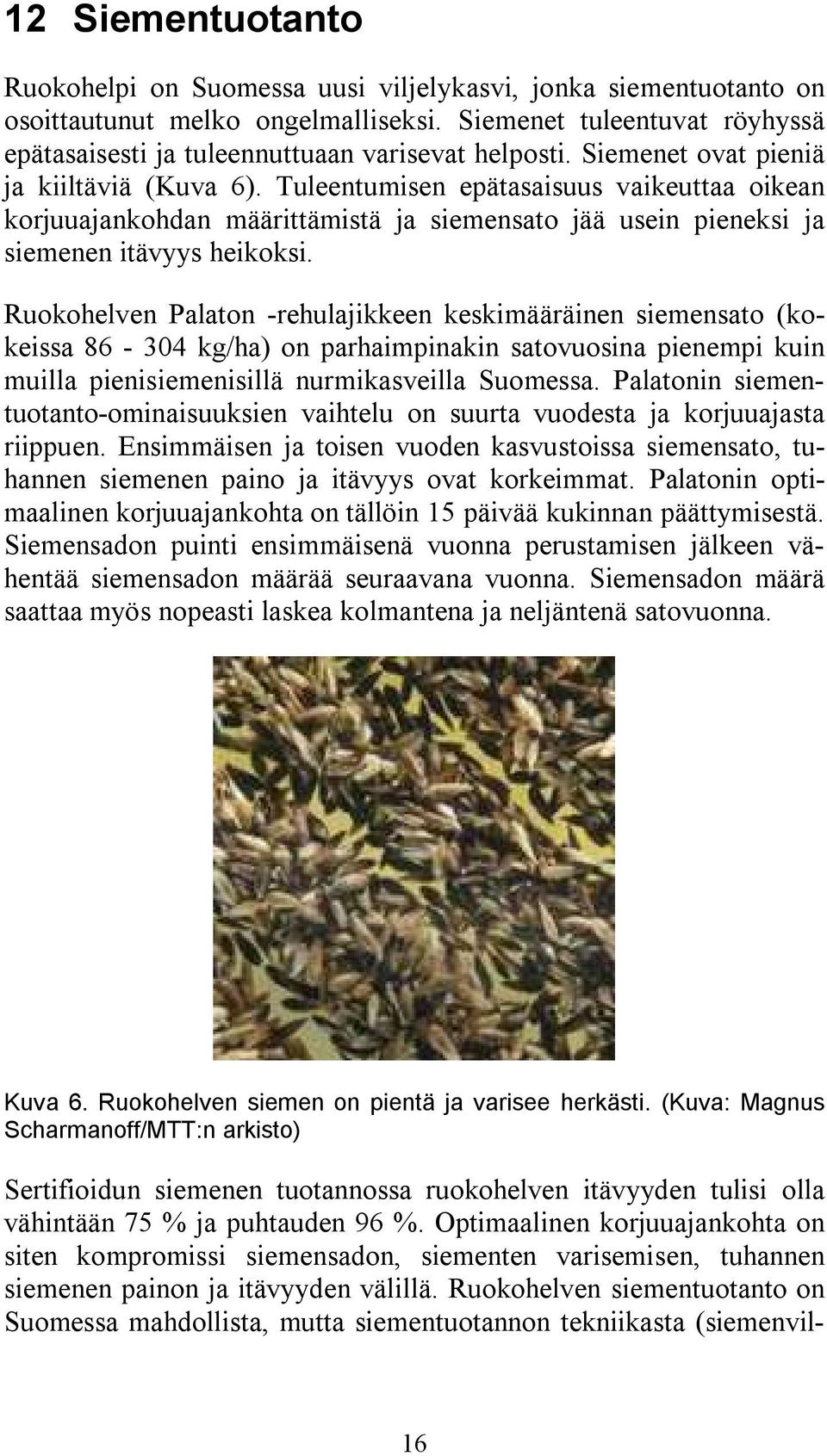 Tuleentumisen epätasaisuus vaikeuttaa oikean korjuuajankohdan määrittämistä ja siemensato jää usein pieneksi ja siemenen itävyys heikoksi.