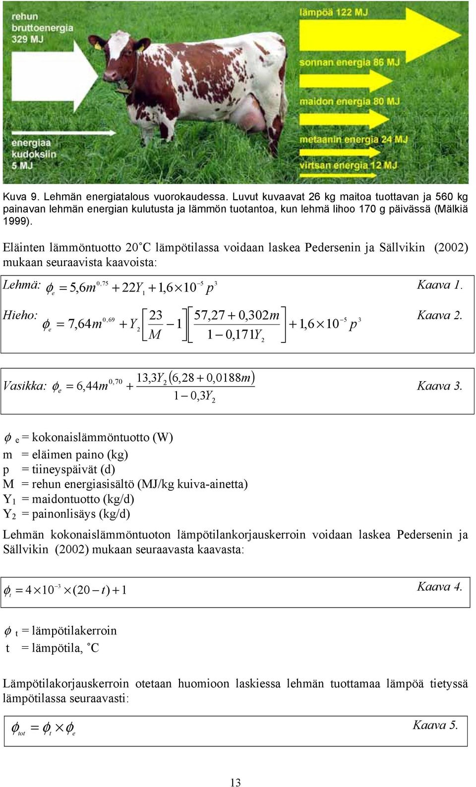 e 1 Hieho:,69 23 57,27 +,32m 5 3 φ = 7,64m + Y 1 + 1,6 1 p e 2 M 1,171Y 2 Kaava 2. ( ),7 13,3Y 2 6,28 +,188m Vasikka: φ e = 6,44m + Kaava 3.