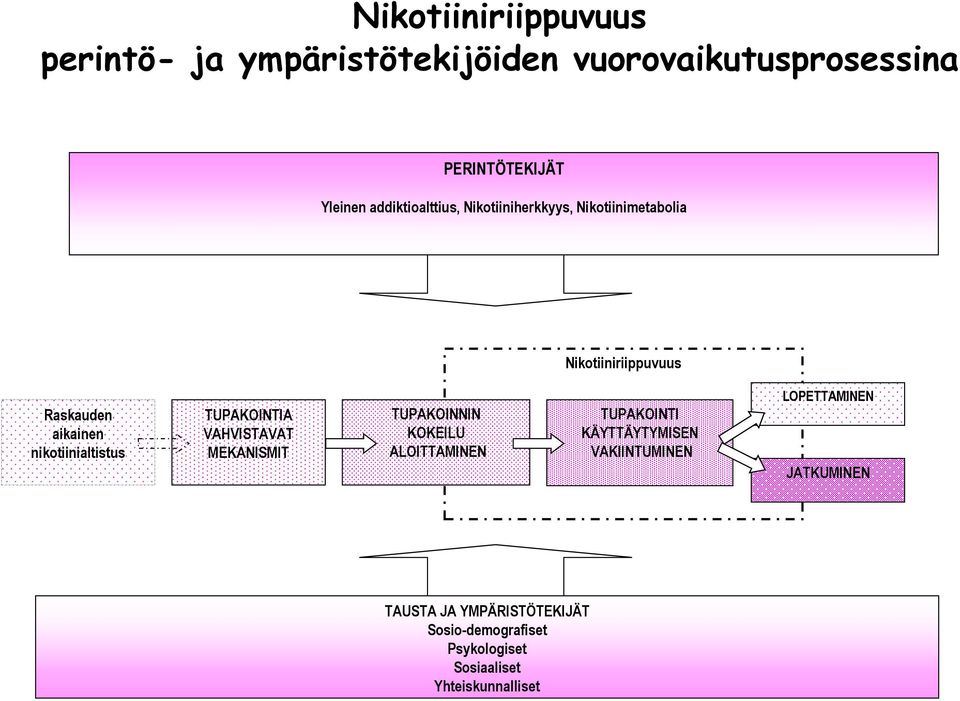 nikotiinialtistus TUPAKOINTIA VAHVISTAVAT MEKANISMIT TUPAKOINNIN KOKEILU ALOITTAMINEN TUPAKOINTI