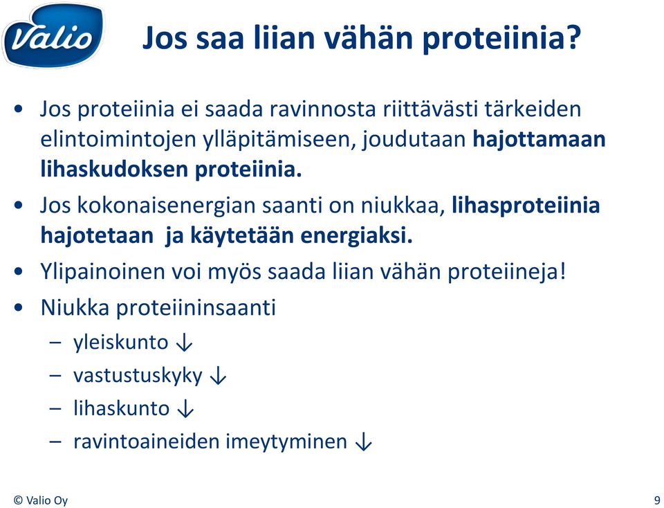 hajottamaan lihaskudoksen proteiinia.