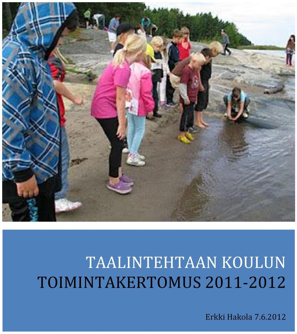 TOIMINTAKERTOMUS