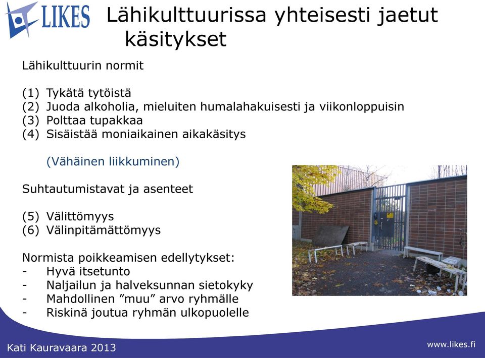 Välittömyys (6) Välinpitämättömyys Lähikulttuurissa yhteisesti jaetut käsitykset Normista poikkeamisen edellytykset: